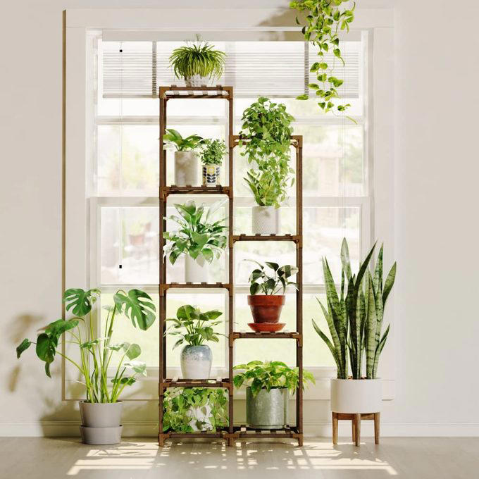 10 Indoor Plant Shelf Ideas to Make More Space for Green