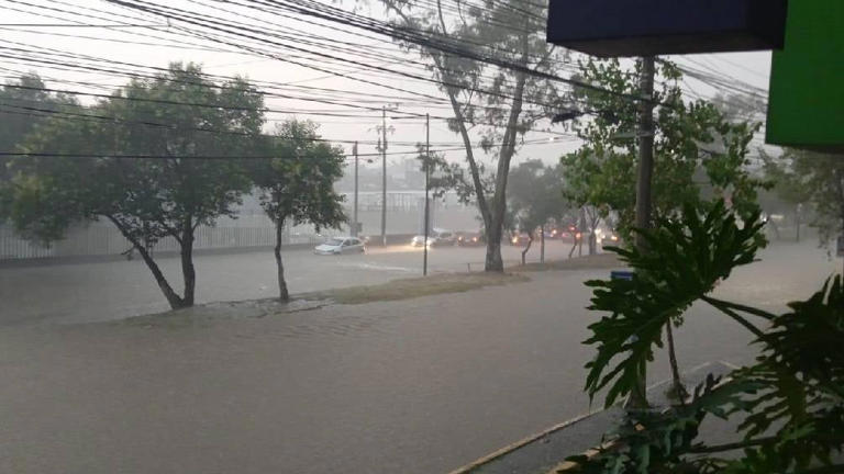 La tarde de este domingo se registraron fuertes lluvias lo que provocó inundaciones. 