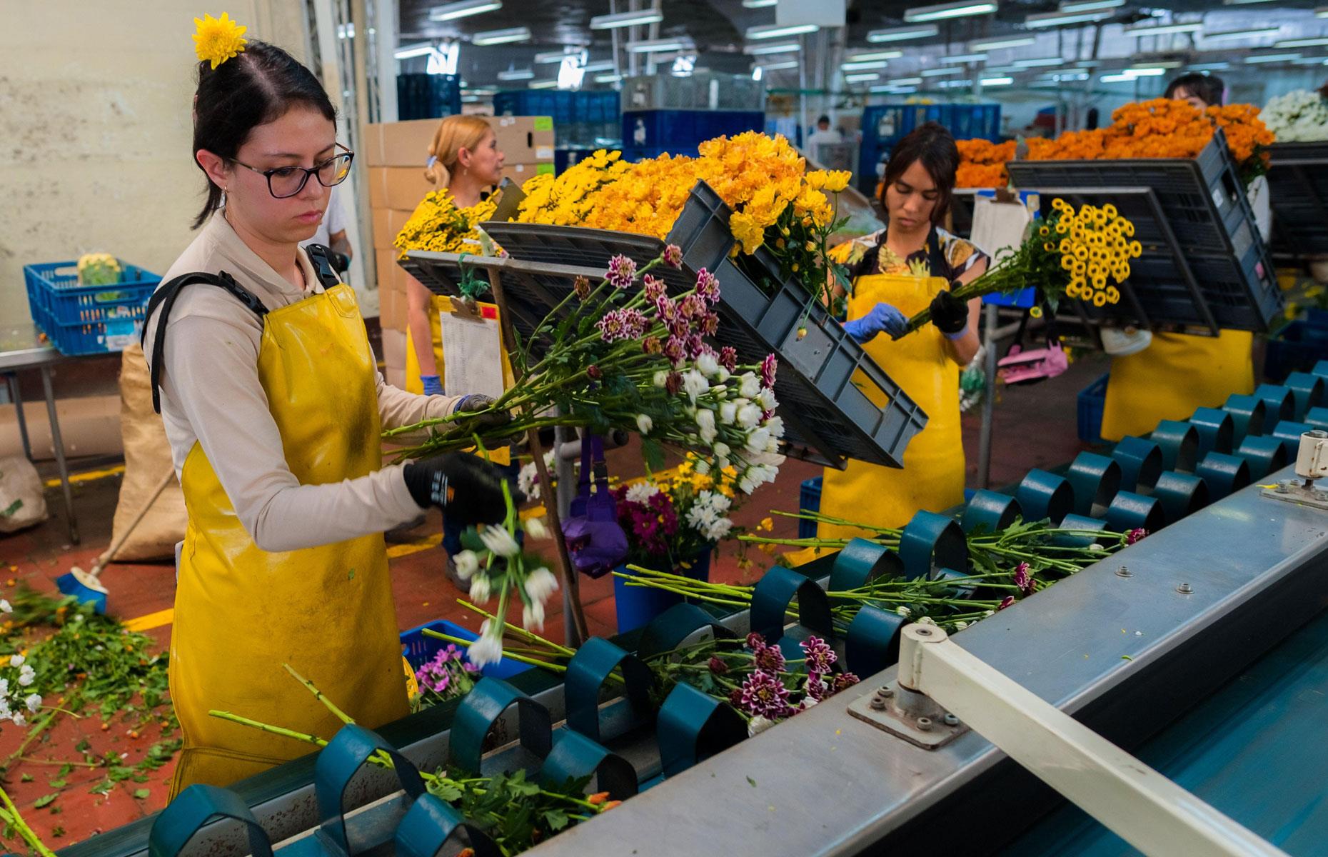 Revealed: America's Work-Life Balance Score And How It Compares Globally