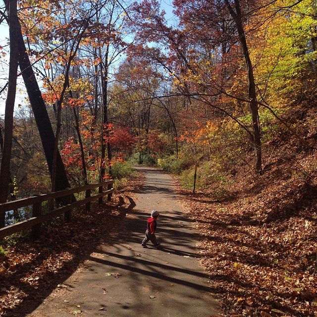 James Van Der Beek's Sweetest Moments With His Family Over the Years