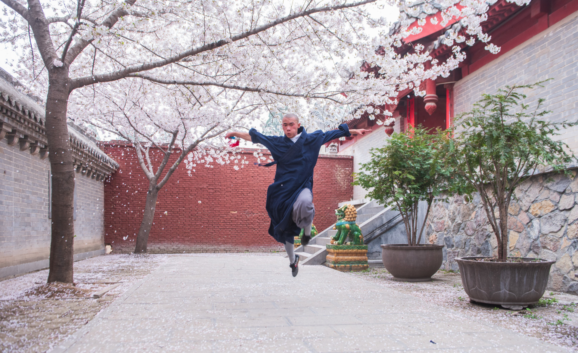 Shaolin-Mönche: Die Meister der Kampfkunst und Spiritualität
