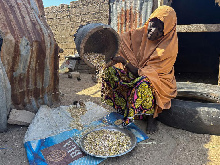 Mariam Hassan, who was displaced by flood shelles cowpeas, as she sits outside her shelter in Banki, in Maiduguri, Nigeria October 30, 2024. REUTERS/Abraham Achirga