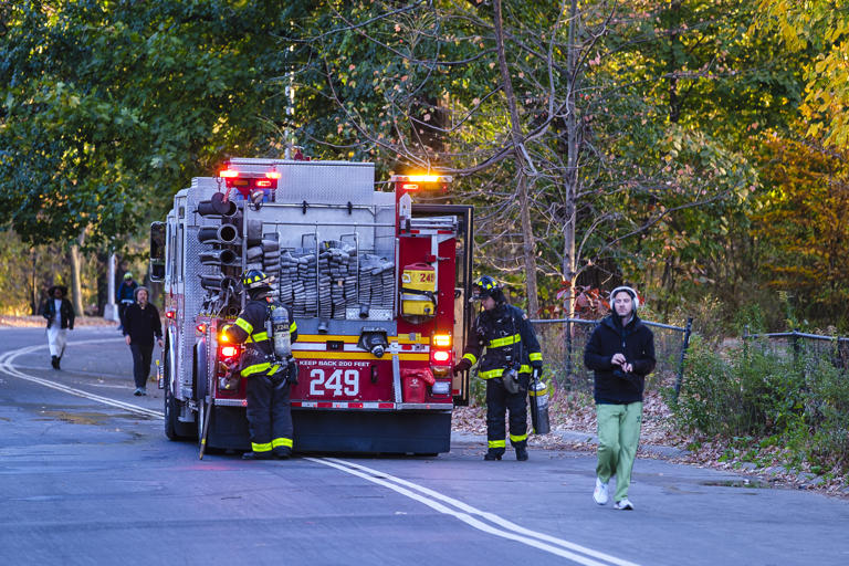 Drought sparks record 229 NYC brush fires in two weeks, FDNY says