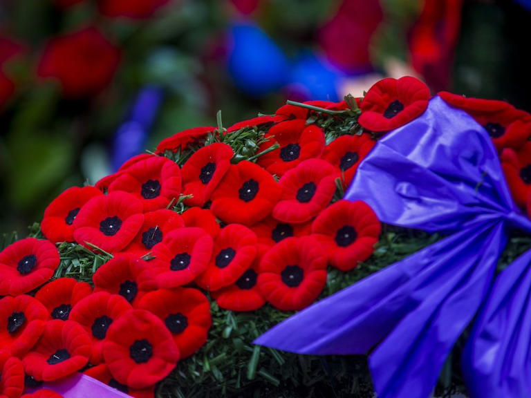 Geoff Russ Leftwing bureaucrats finally come for Remembrance Day