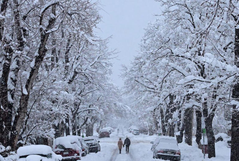 La Niña winter predicted Will the Midwest get more snow?