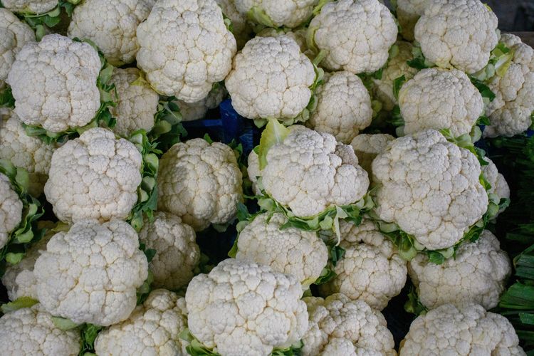 What Are the Benefits of Eating Cabbage Every Day? Learn About Its Effects on the Heart and Intestines