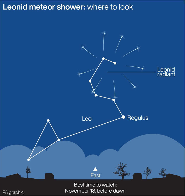 A diagram of where to look for the Leonid meteor shower