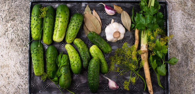 الخيار يحسن صحة القلب