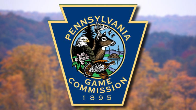 Pennsylvania Game Commission lifts campfire ban on state game lands