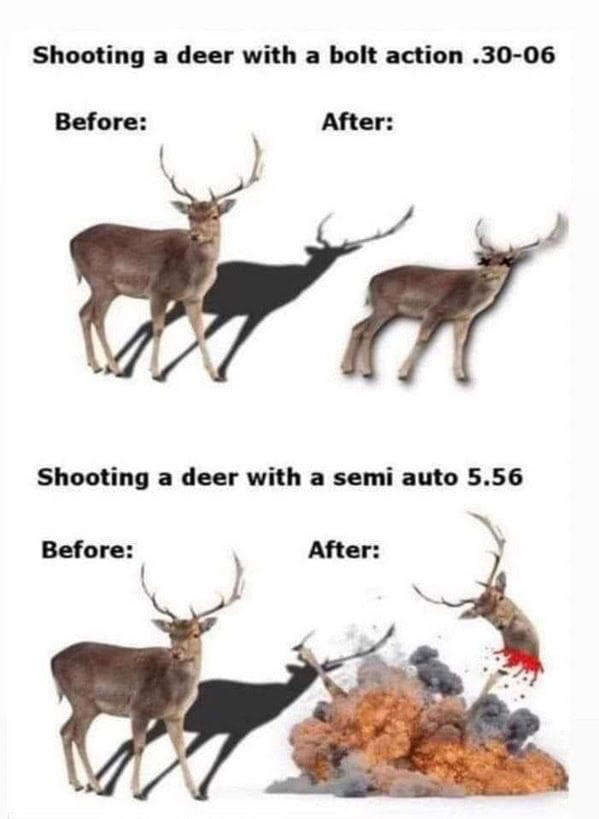 42 Funny Hunting Memes That'll Keep You Entertained In The Tree Stand