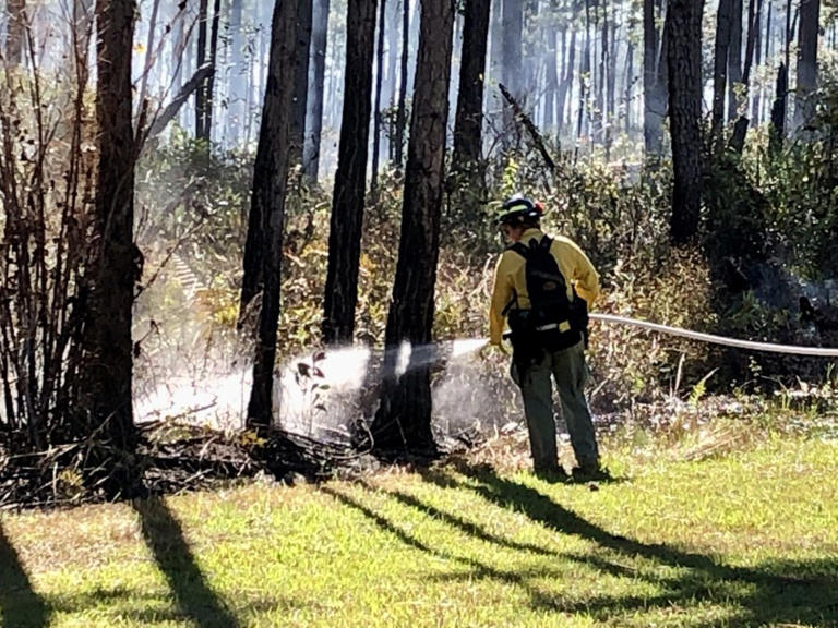 ‘Fire is a good thing’ for Gulf State Park as foresters burn 200 acres ...