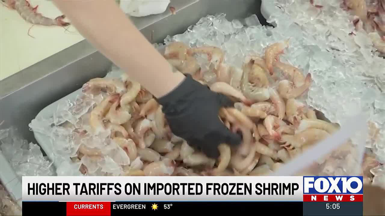 It #39 s a big deal Alabama shrimpers celebrate tariff decision It #39 s a big deal Alabama shrimpers celebrate tariff decision