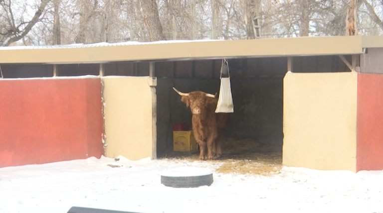 Animal safety is a priority in winter for Minot zoo