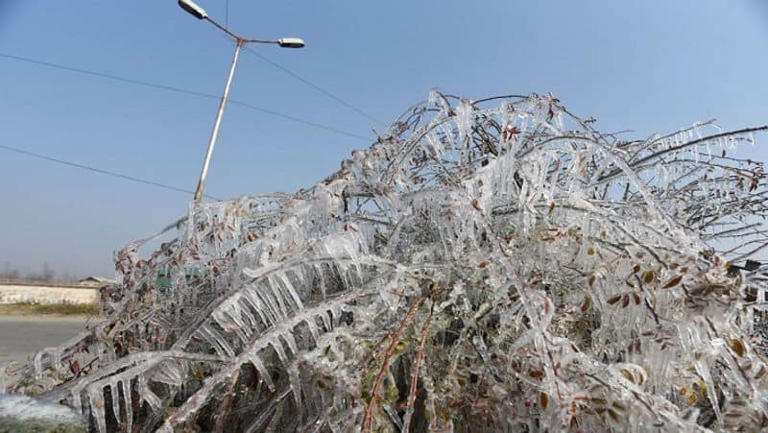 Kolkata Weather Update: Will cyclone bring snowfall? Here's what Meteorological Department has to say