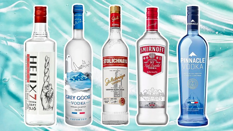 The 15 Best Value Vodka Brands, According To Experts