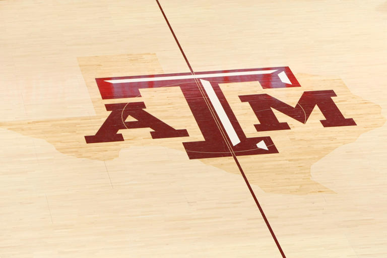 Jan 17, 2013; College Station, TX, USA; General view of the Texas A&M Aggies logo on the court during a game against the Florida Gators in the second half at Reed Arena. Mandatory Credit: Brett Davis-USA TODAY Sports