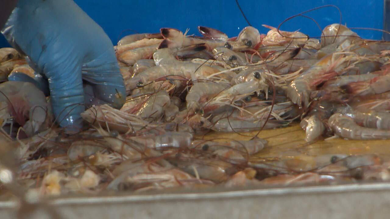 International Trade Commission halts unfair competition for S C International Trade Commission halts unfair competition for S C