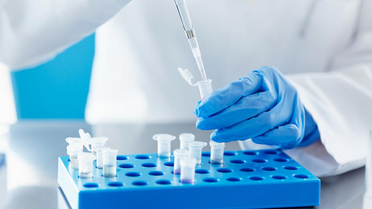 In a recent think piece, experts argue that new drugs should be tested on cell-based models of the skin that contain different levels of pigment. (Image credit: Morsa Images via Getty Images)