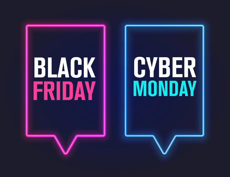 shoppers-spent-a-record-10-8-billion-online-on-black-friday-up-next