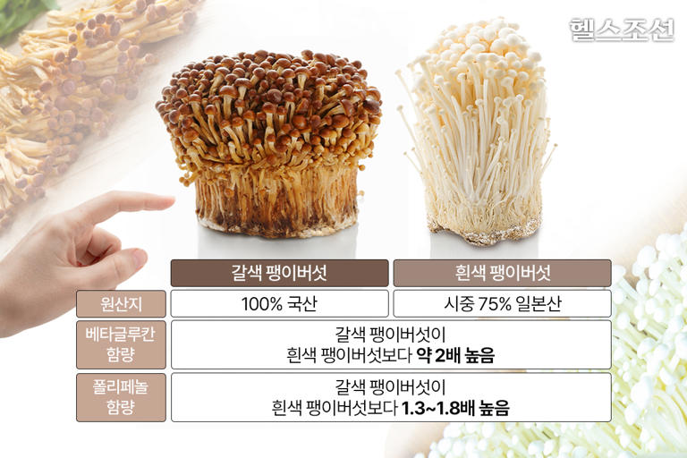 우리가 자주 먹는 ‘이 버섯’, 콜레스테롤 수치 낮추는 성분 풍부