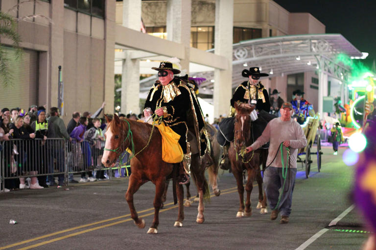 mardi gras volunteer