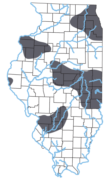 Venomous snakes in IL: how to identify them, where to find them