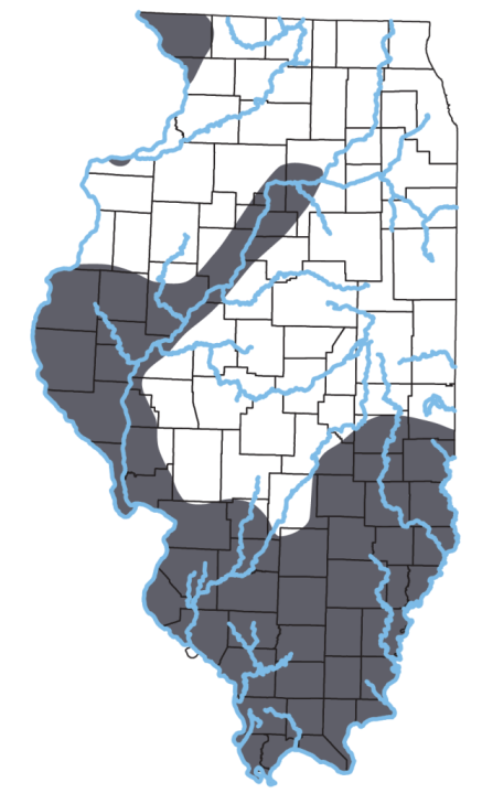 Venomous snakes in IL: how to identify them, where to find them