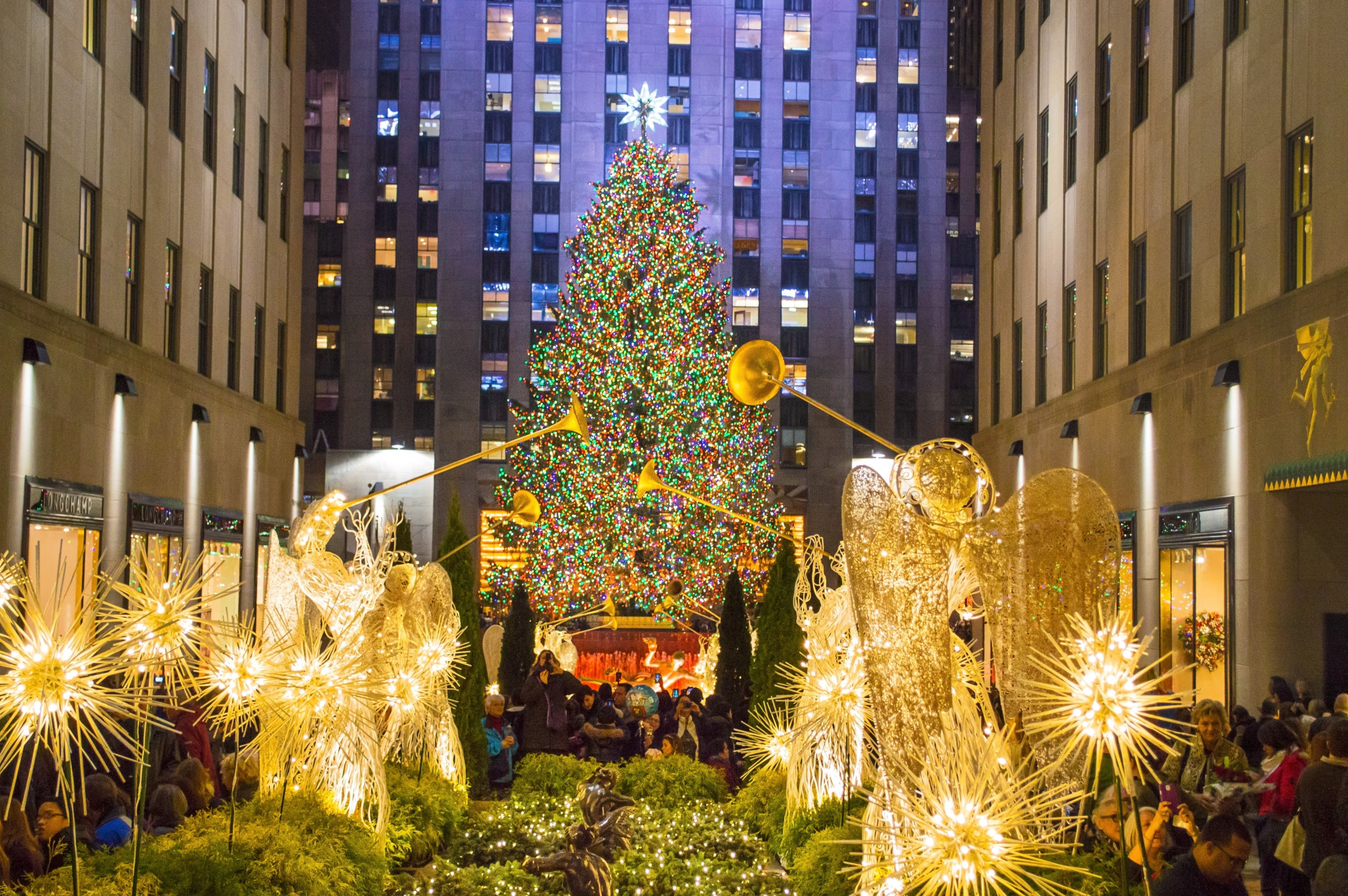 The Rockefeller Christmas Tree