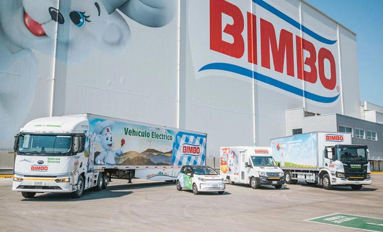 Reporta Bimbo crecimiento de ventas de casi 400 mdp al cierre de 2023. // Foto: Especial/El Universal