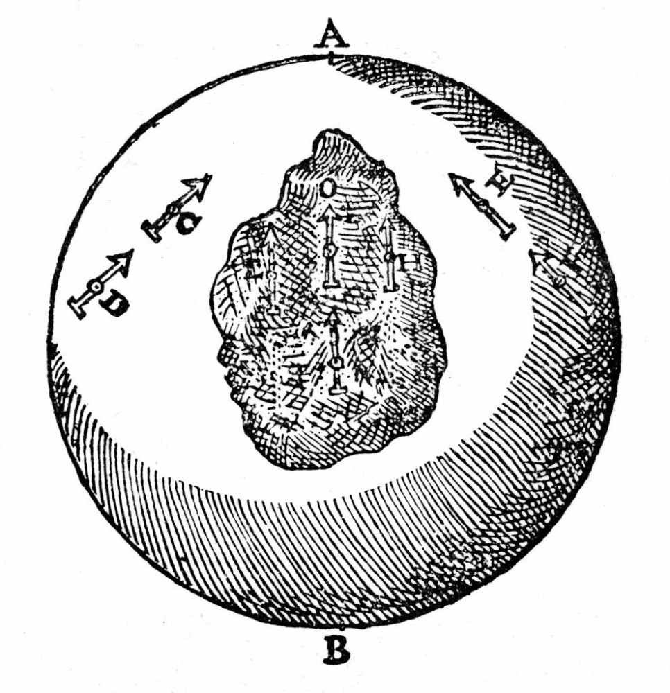 Risultati