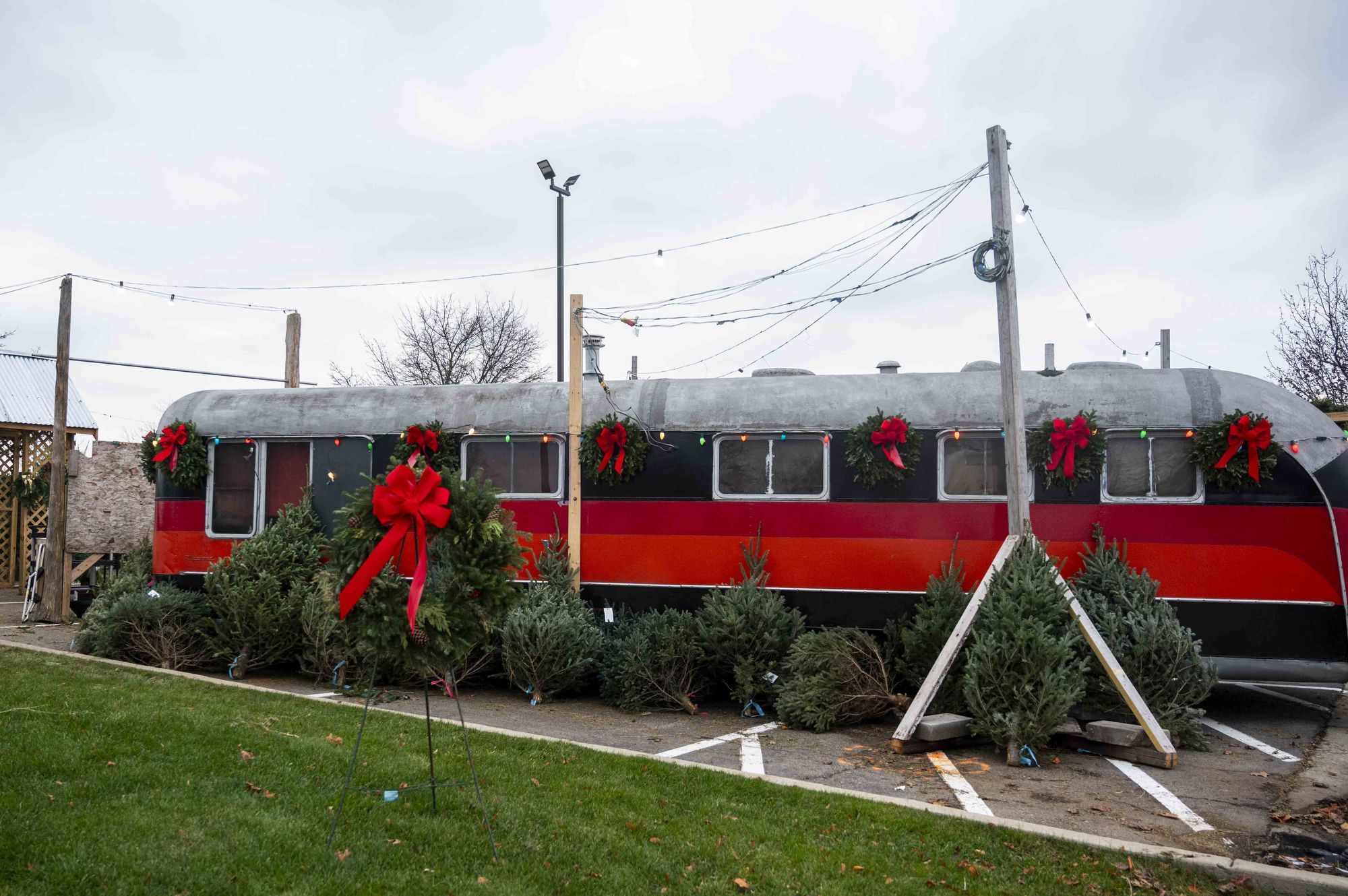 The Ultimate Guide To Finding The Perfect Christmas Tree In Washtenaw ...