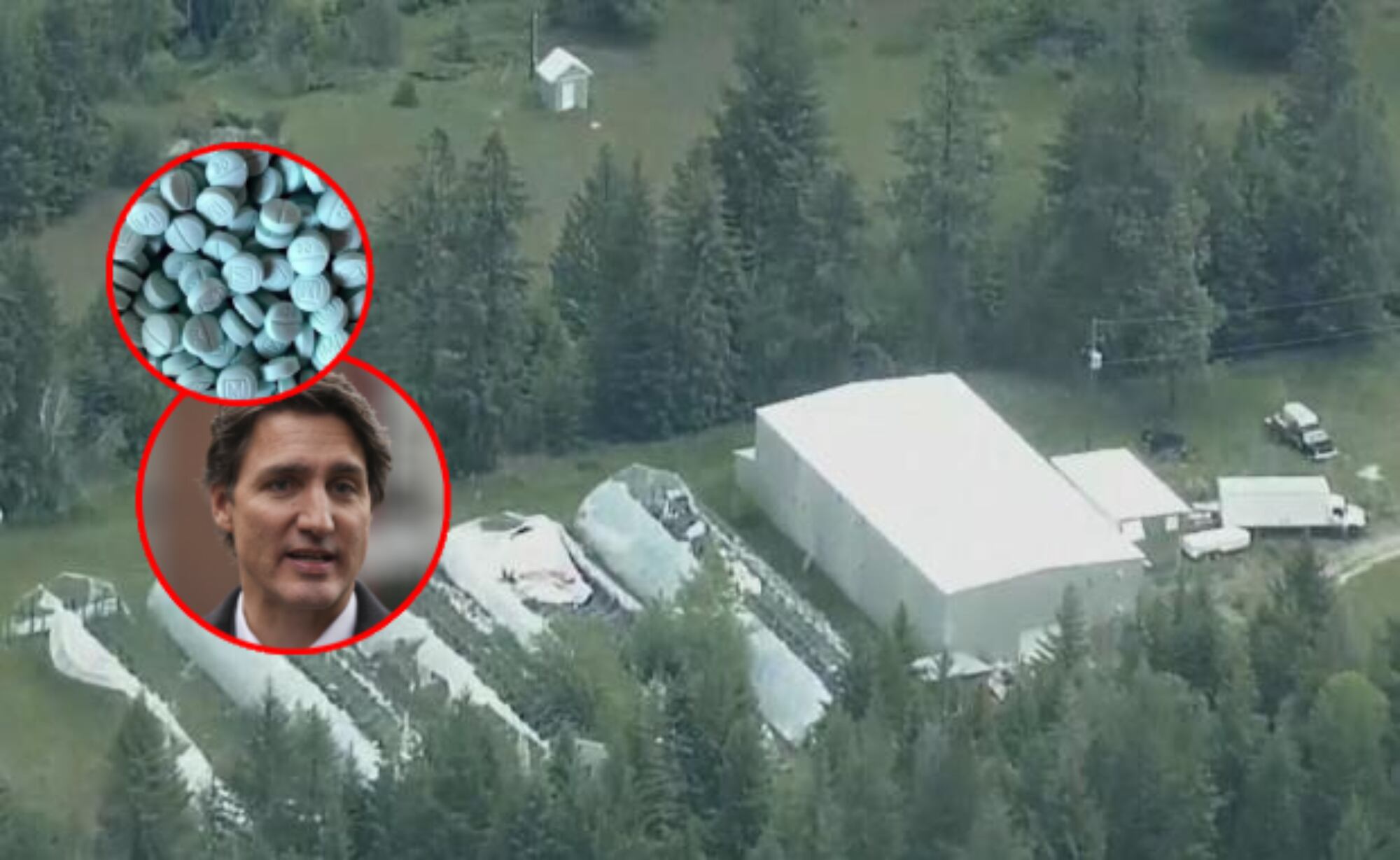 En un operativo histórico en Columbia Británica, Canadá decomisó cantidades récord de drogas sintéticas, armas y precursores químicos de un súper laboratorio controlado por redes criminales transnacionales.