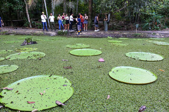 Visitantes no Museu da Amazônia Foto: Fabio Rodrigues-Pozzebom/Agência Brasil