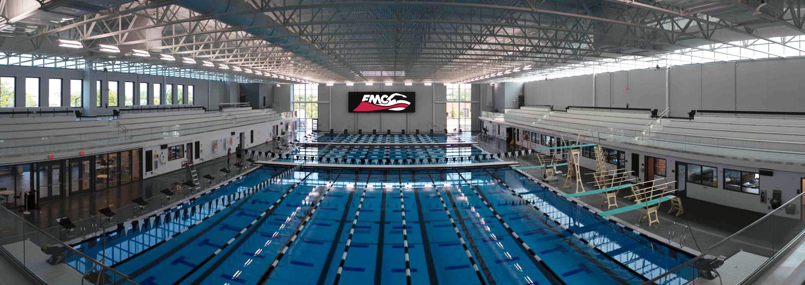 How Peoria-area swimmers and divers fared in the 2025 IHSA state finals ...