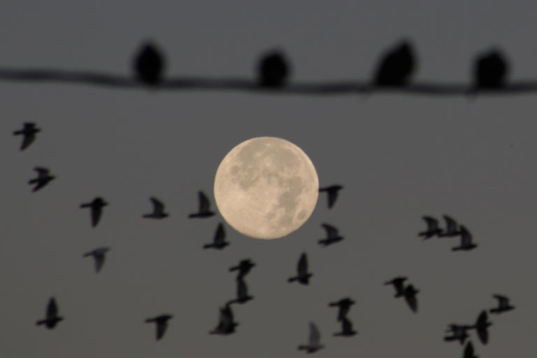 Last supermoon of 2024 wows skywatchers around the world with Full Beaver Moon (photos)