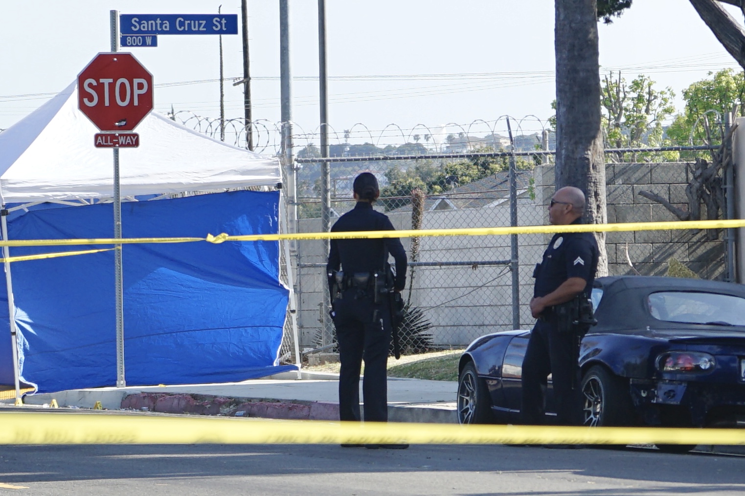 Teen killed after driver crashes into power pole in San Pedro