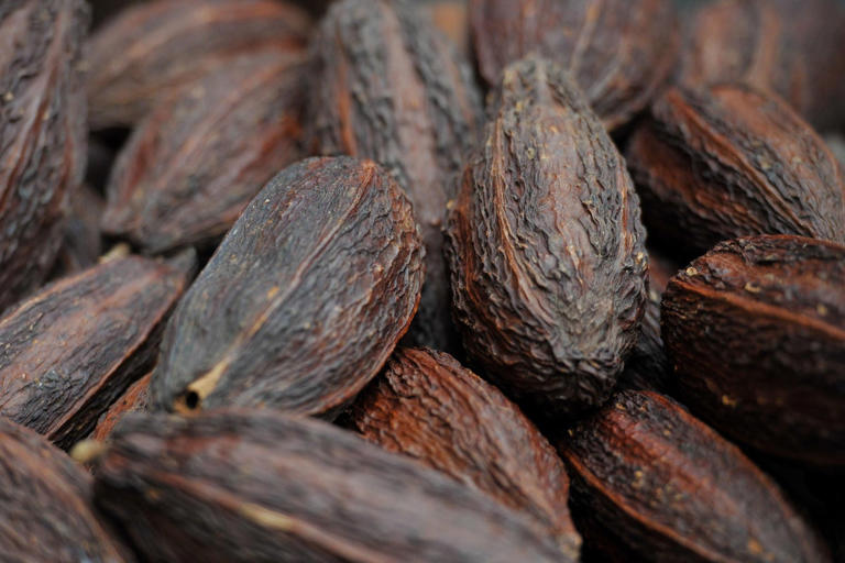 The Chocolate Show – London