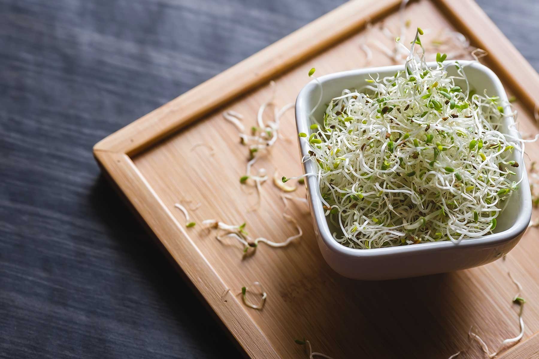 Your worst enemy might be hiding in your fridge: Understanding the ...
