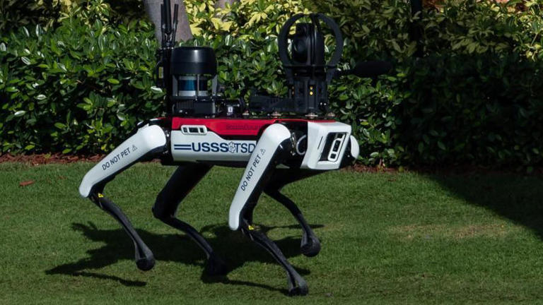 Este cão-robô está ajudando as autoridades a proteger o presidente eleito, Donald Trump, em sua residência na Flórida