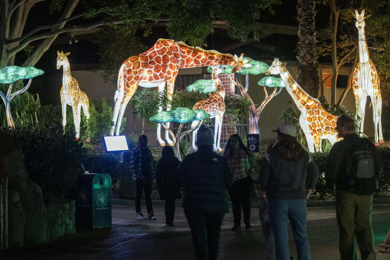 LA Zoo Lights celebrates holidays with lantern sculptures and lights