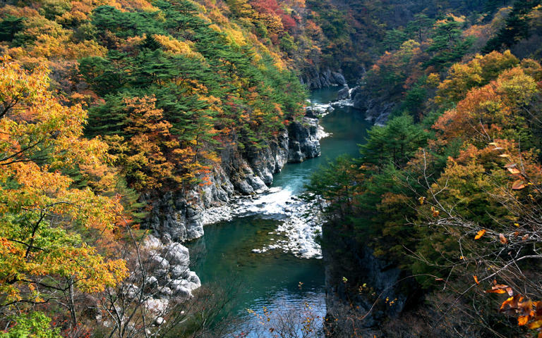 Photo by: PIXTA/ redseaA quiet escape into nature.