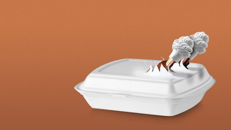 best-restaurants-to-get-take-out-thanksgiving-dinner-sides-and-pies