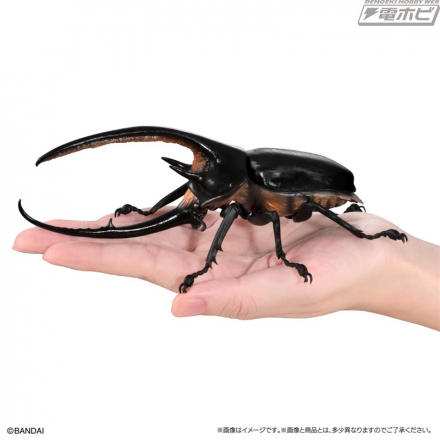 人気のネプチューンオオカブトが新規造形&リアルな彩色で登場 人気のネプチューンオオカブトが新規造形&リアルな彩色で登場