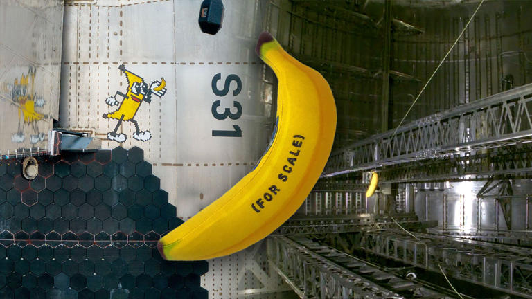 'It's bananas:' Toy fruit becomes first zero-g indicator to fly on ...