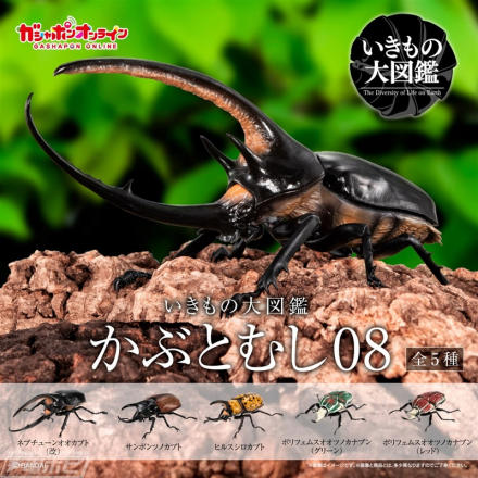 人気のネプチューンオオカブトが新規造形&リアルな彩色で登場 人気のネプチューンオオカブトが新規造形&リアルな彩色で登場