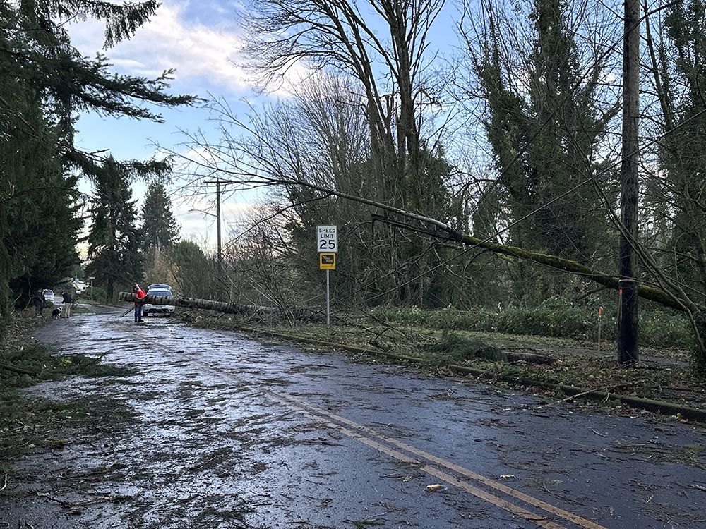 B.C. Bomb Cyclone: Additional Hydro Crews Deployed To Vancouver Island ...