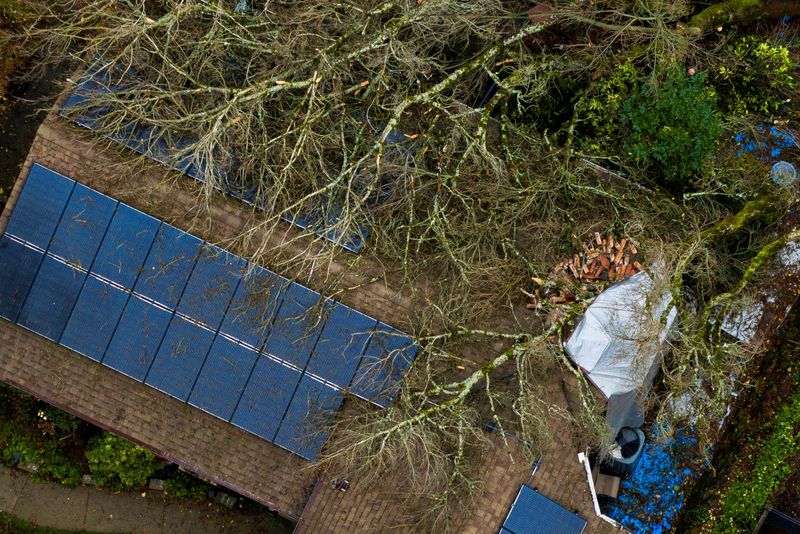 Deadly Storm Pounds Northwest US, Leaving 600,000 Without Power