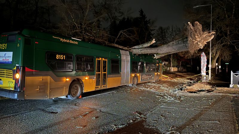 Deadly Storm Pounds Northwest US, Leaving Half A Million Without Power