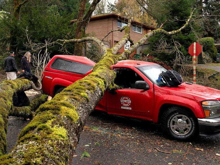 A fallen tree sits atop a fire department vehicle after a powerful storm hit the U.S. Pacific Northwest and western Canada, causing power outages while wreaking havoc on road travel, in Seattle, Washington, Nov. 20, 2024.