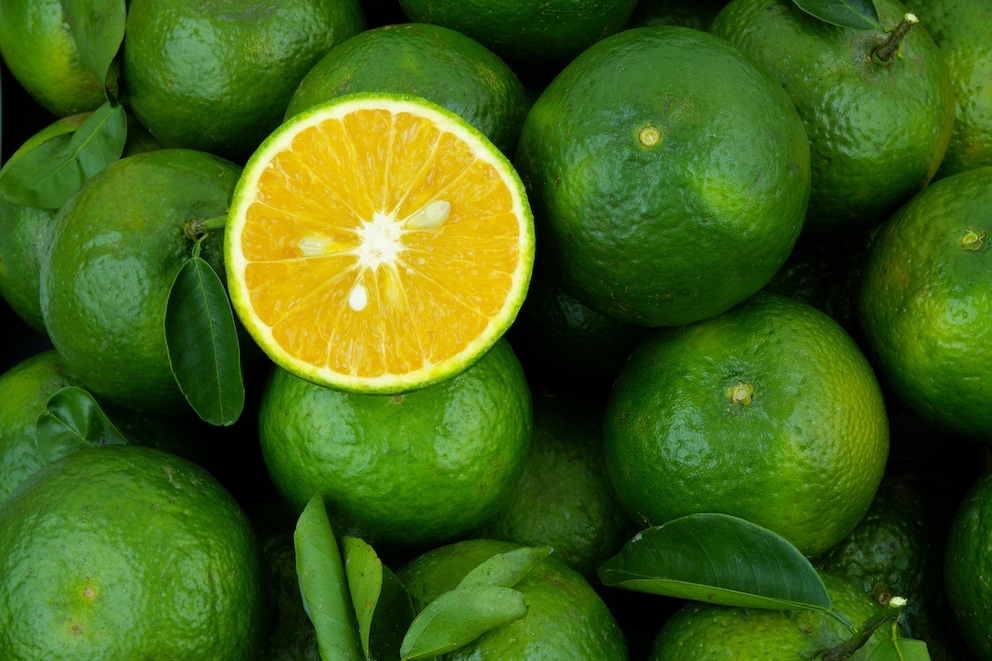 Schon gewusst? Orangen sind eigentlich grün